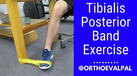 physical therapy for tibial torsion